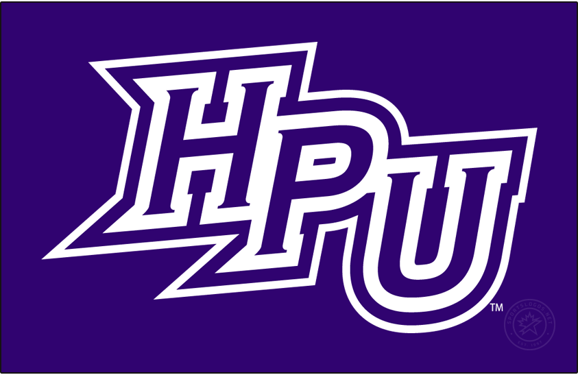 High Point Panthers 2012-Pres Primary Dark Logo diy DTF decal sticker